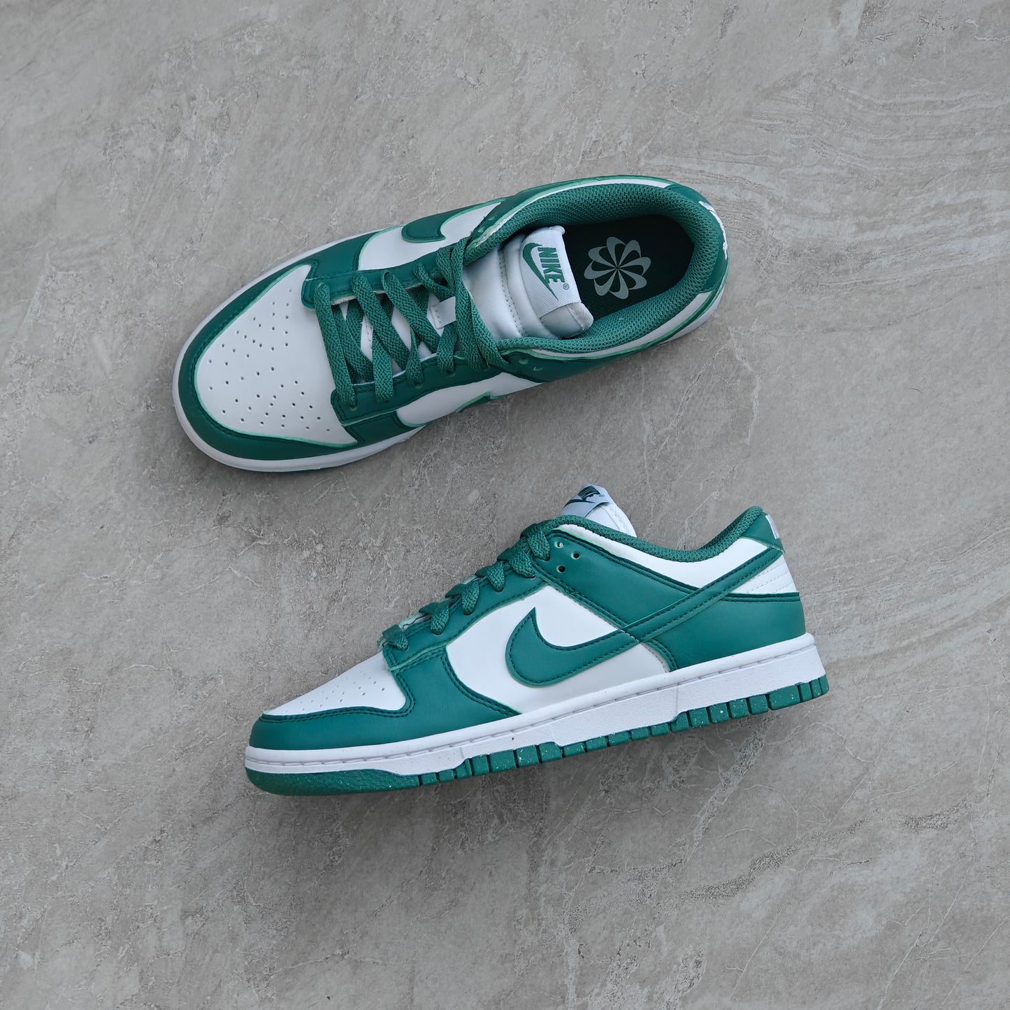 Nike Dunk Low Next Nature Bicoastal